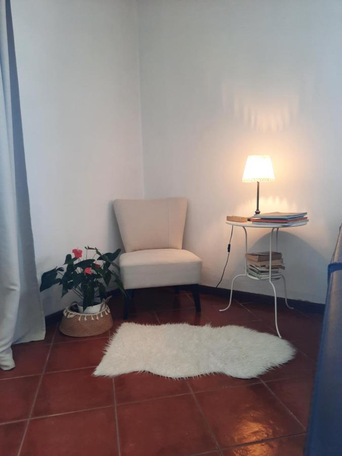 Casa Das Camelias Aveiro Exterior foto